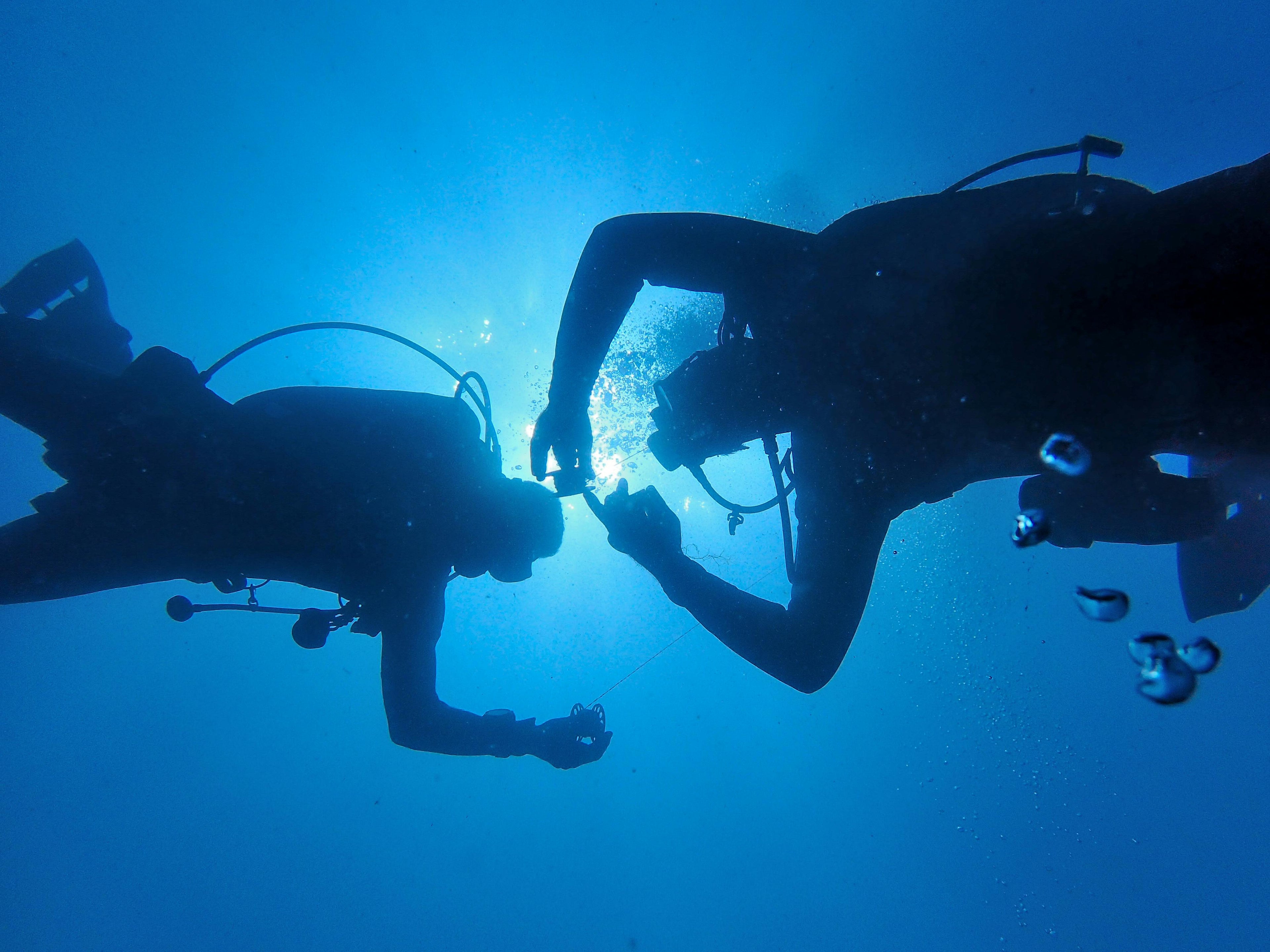 Private Instructor